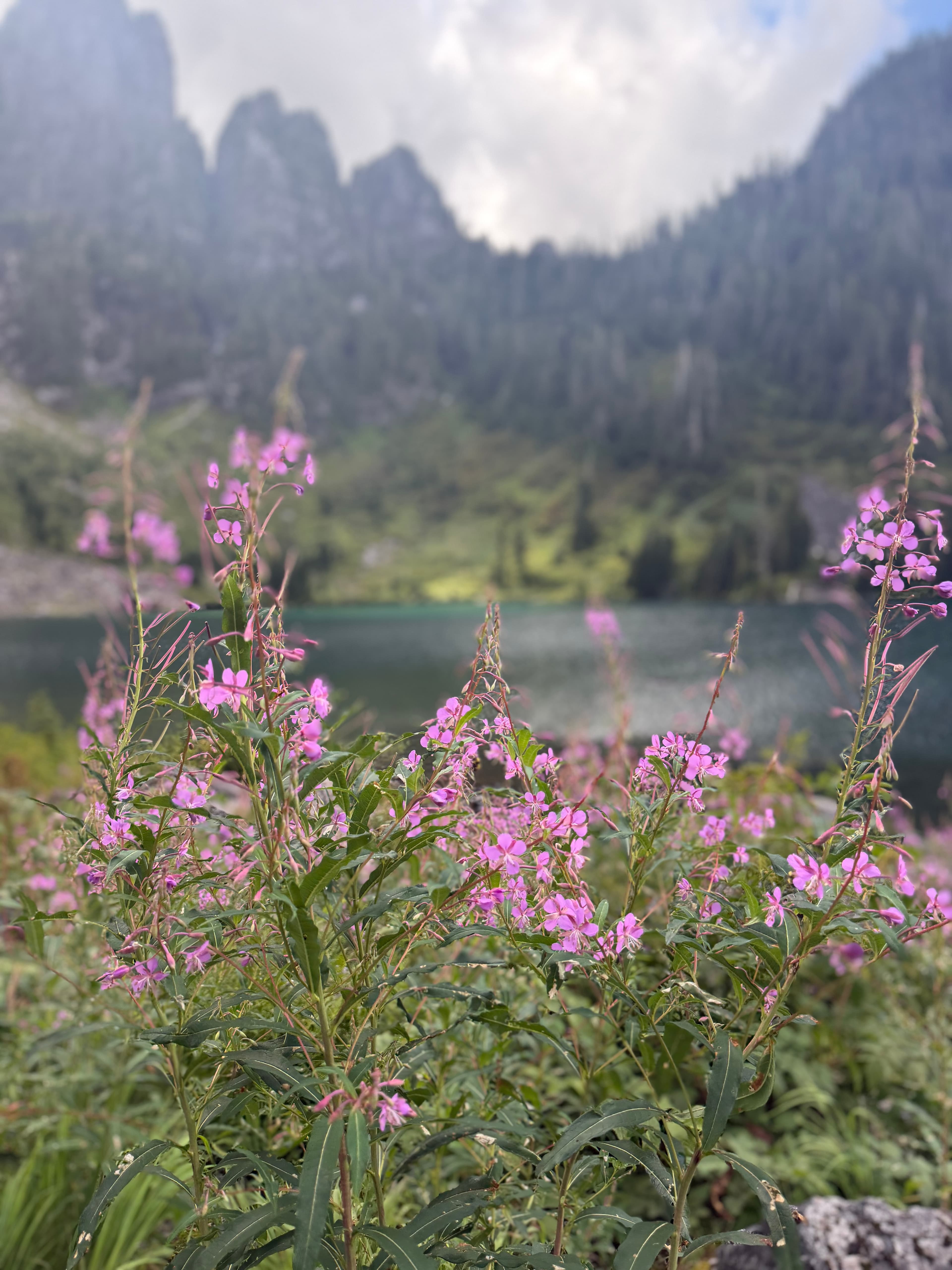 Lake 22, Washington