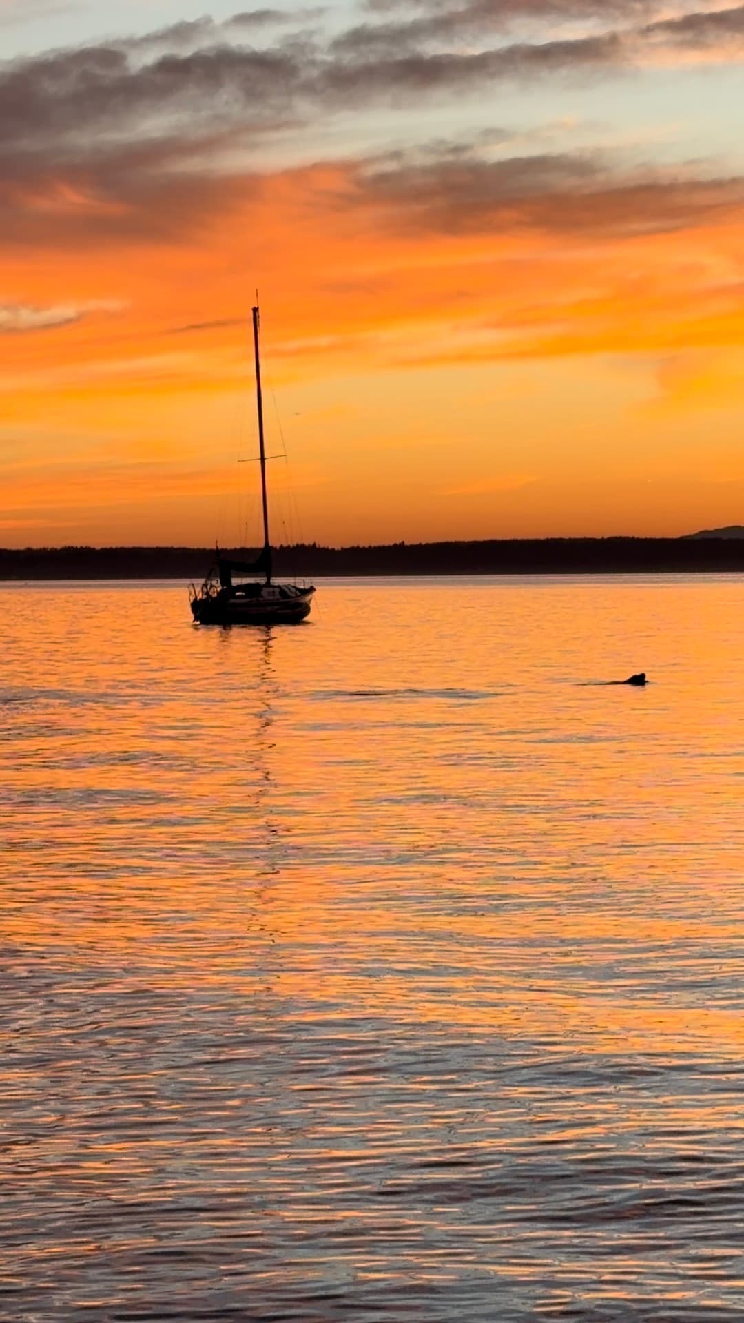 Golden Gardens